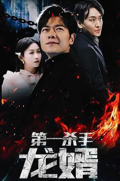 第一杀手龙婿