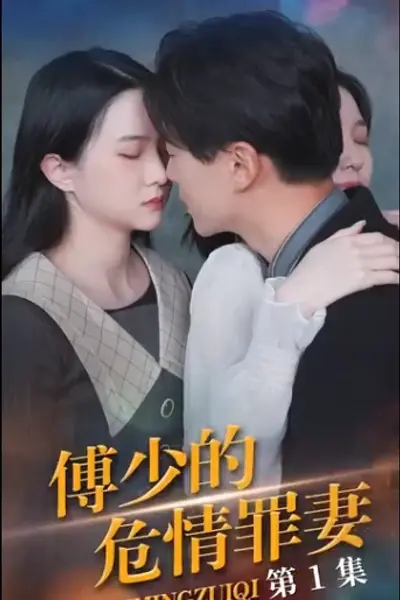 傅少的隐婚罪妻