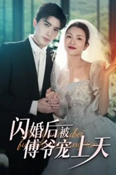 闪婚后被傅爷宠上天