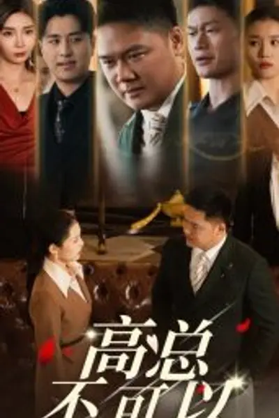 高总不可以