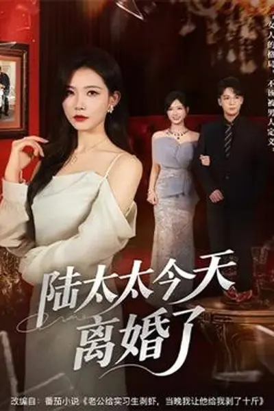陆太太今天离婚了