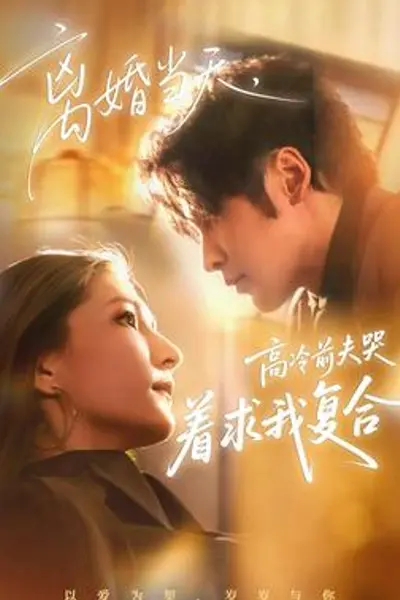 离婚当天,高冷前夫哭着求我复合