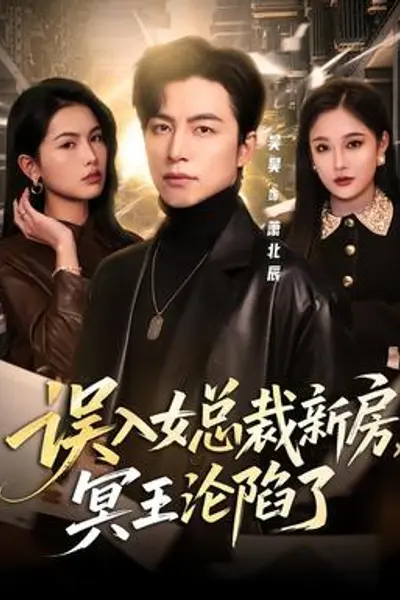 误入女总裁新房,冥王沦陷了
