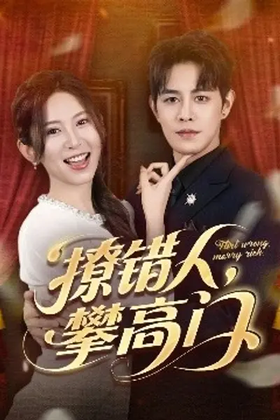 撩错人攀高门