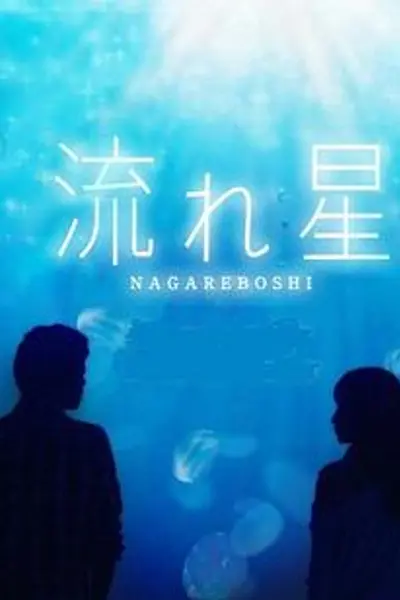 流星2010
