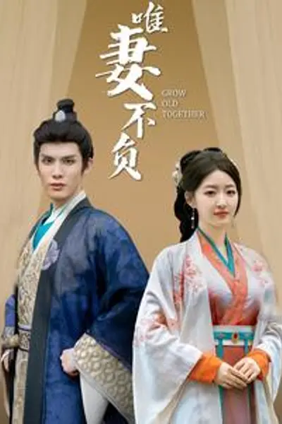 唯妻不负