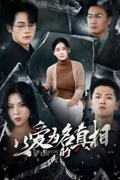 以爱为名的真相