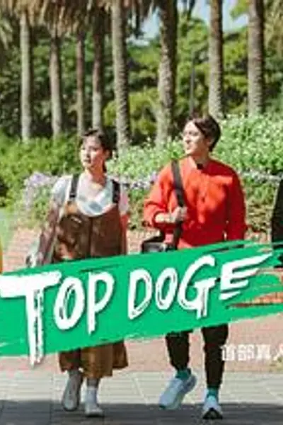 TOP DOG