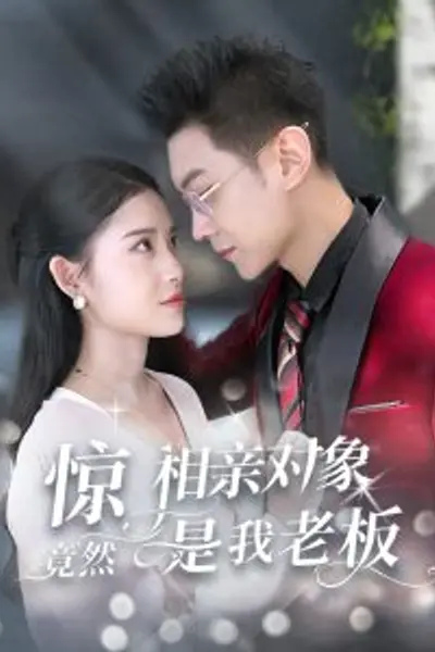 惊相亲对象竟然是我老板
