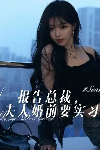 报告总裁,夫人婚前要实习