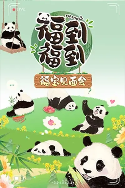 福到福到福宝见面会