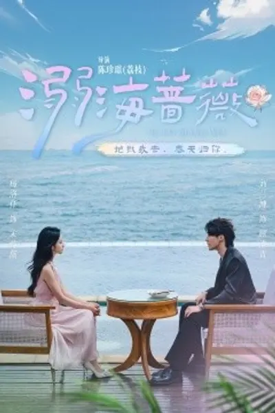 溺海蔷薇