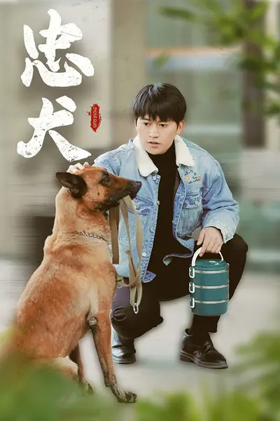 忠犬短剧