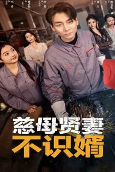 慈母贤妻不识婿