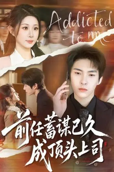 前任蓄谋已久成顶头上司