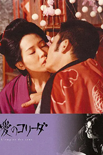感官世界