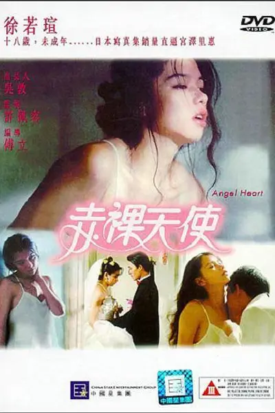 赤裸天使DVD