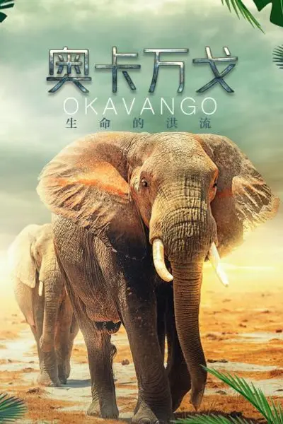 奥卡万戈:生命的洪流