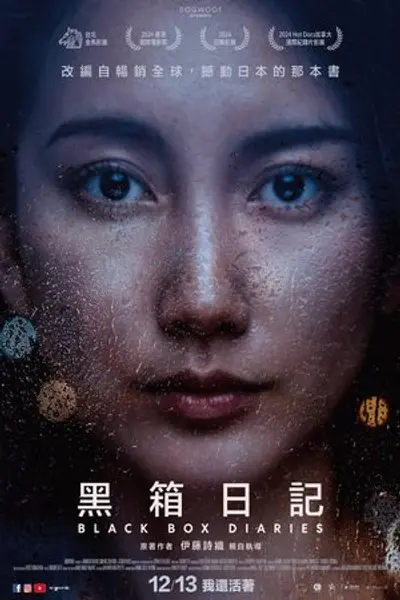黑箱日记