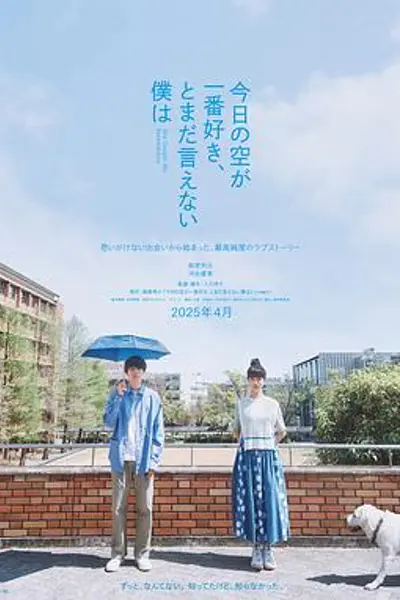 最爱今日天空，我却无法言明