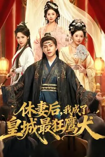 休妻后，我成了皇城最狂鹰犬