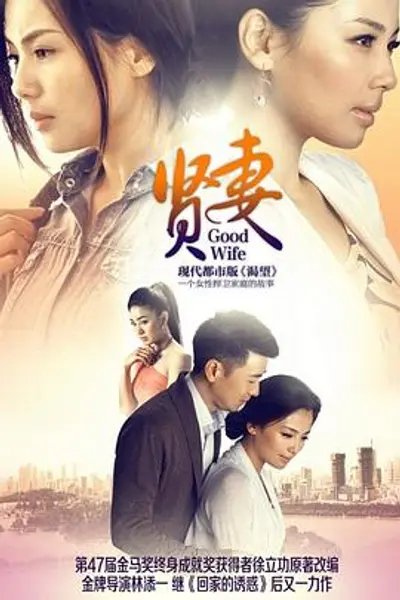 贤妻2013