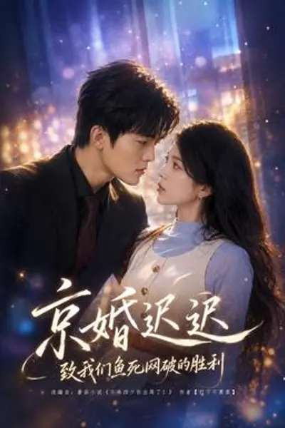 京婚迟迟:致我们鱼死网破的胜利