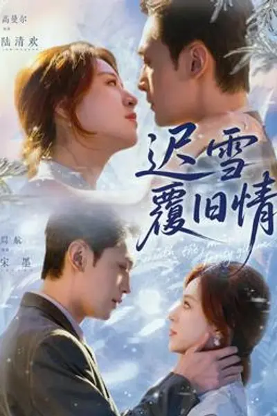 迟雪覆旧情