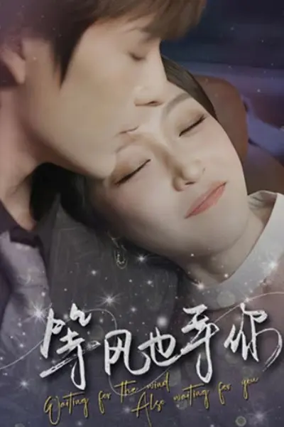 等风也等你