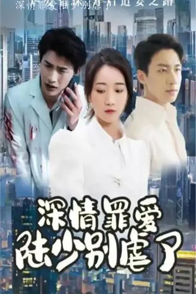 深情罪爱，陆少别虐了