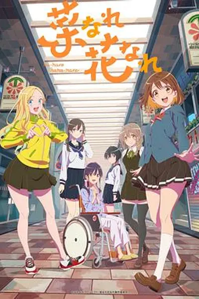 亦叶亦花
