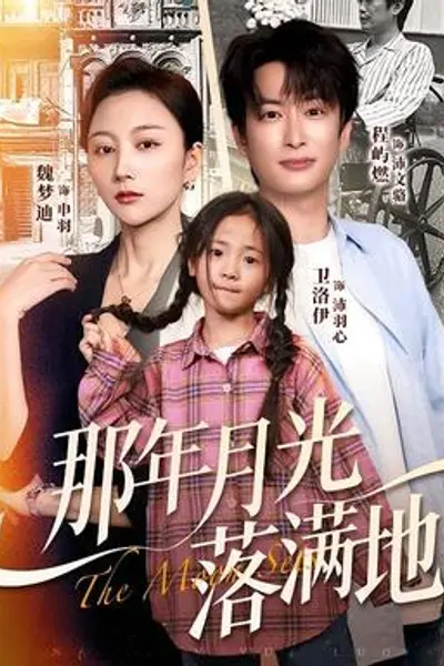 那年月光落满地