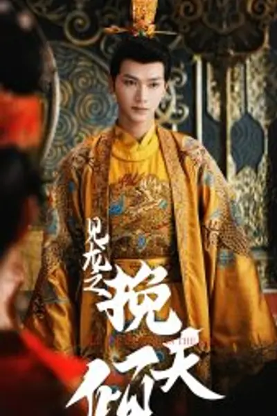 见龙之挽天倾
