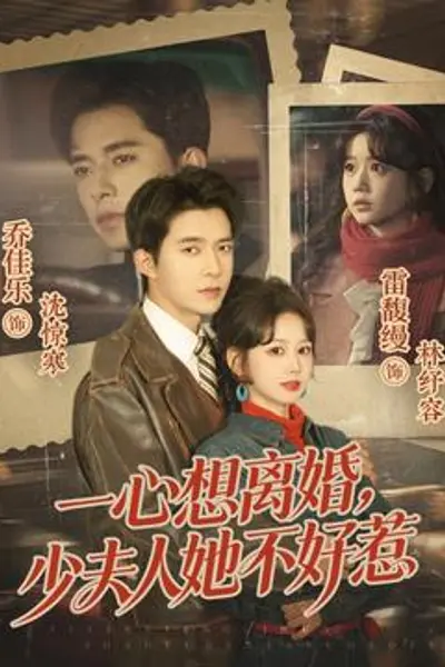 一心想离婚,少夫人她不好惹
