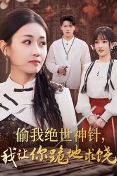 偷我绝世神针我让你跪地求饶