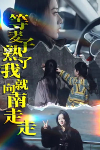 等麦子熟了我就向南走走