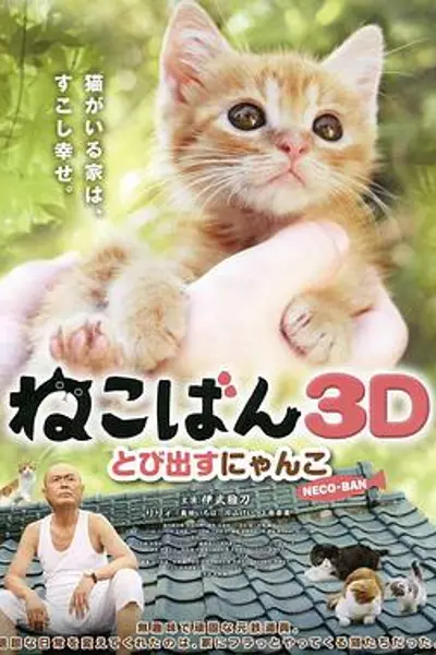 小猫跳出来3D