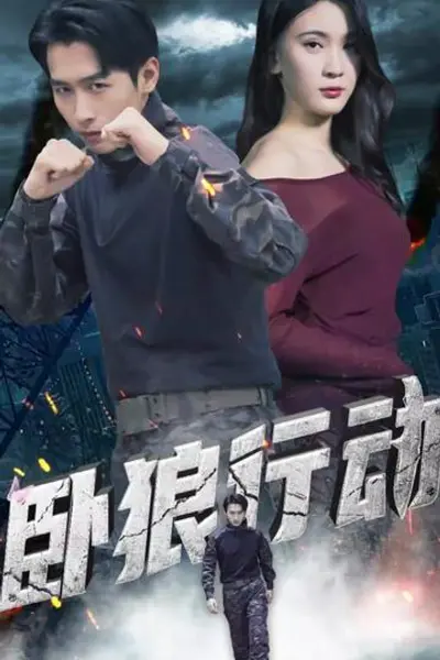 卧狼行动