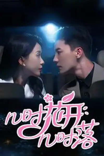 几时花开几时落