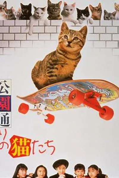 公园路的猫们
