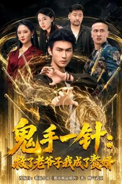 鬼手一针:救了老爷子我成了赘婿