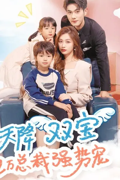天降双宝，亿万总裁强势宠