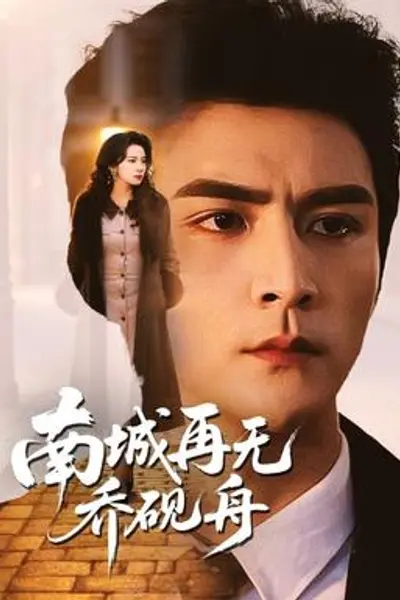 南城再无乔砚舟