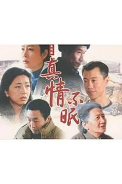 真情不眠