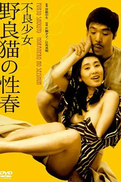 不良少女野良猫的性春