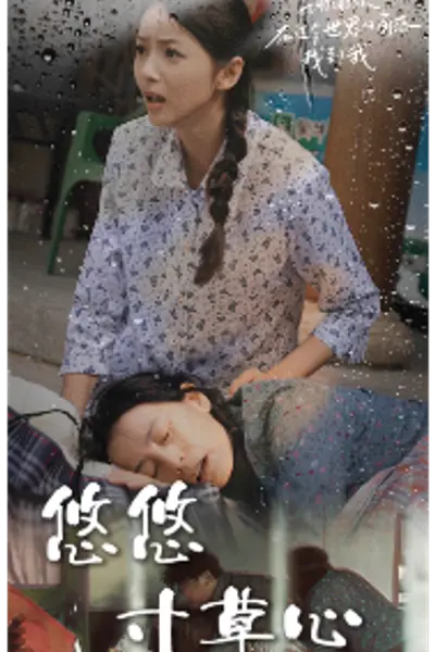 新版：悠悠寸草心
