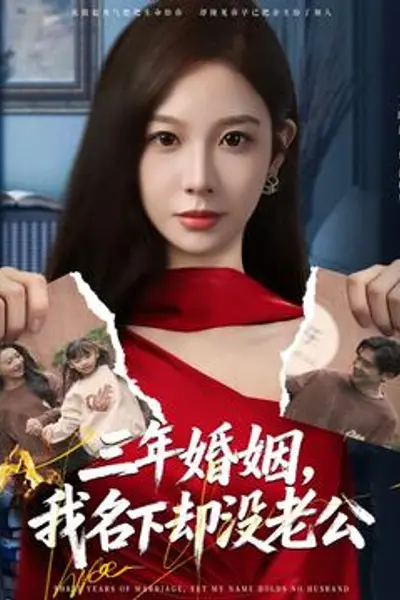 三年婚姻,我名下却没老公