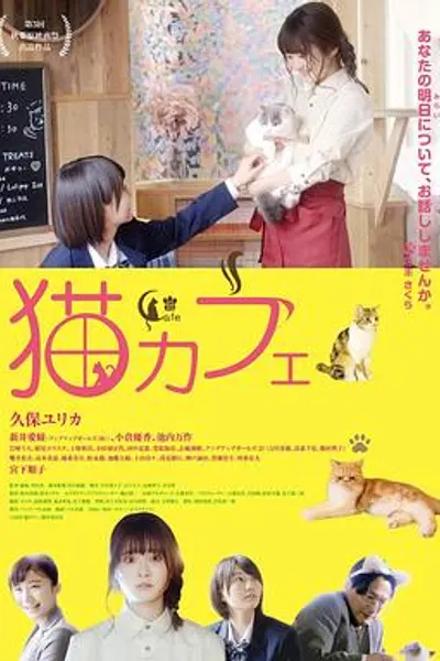 猫咪咖啡厅