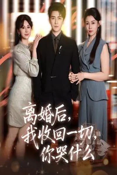 离婚后我收回一切你哭什么