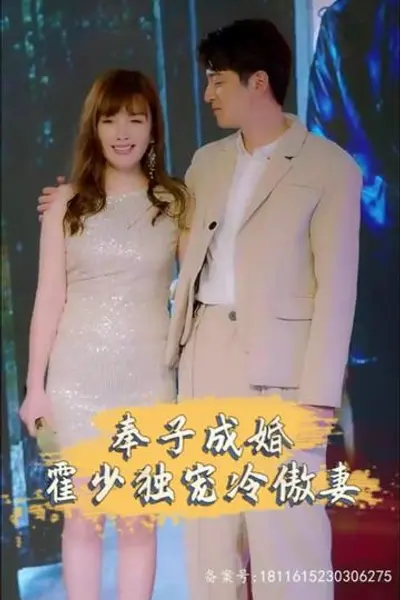 奉子成婚，霍少独宠冷傲妻
